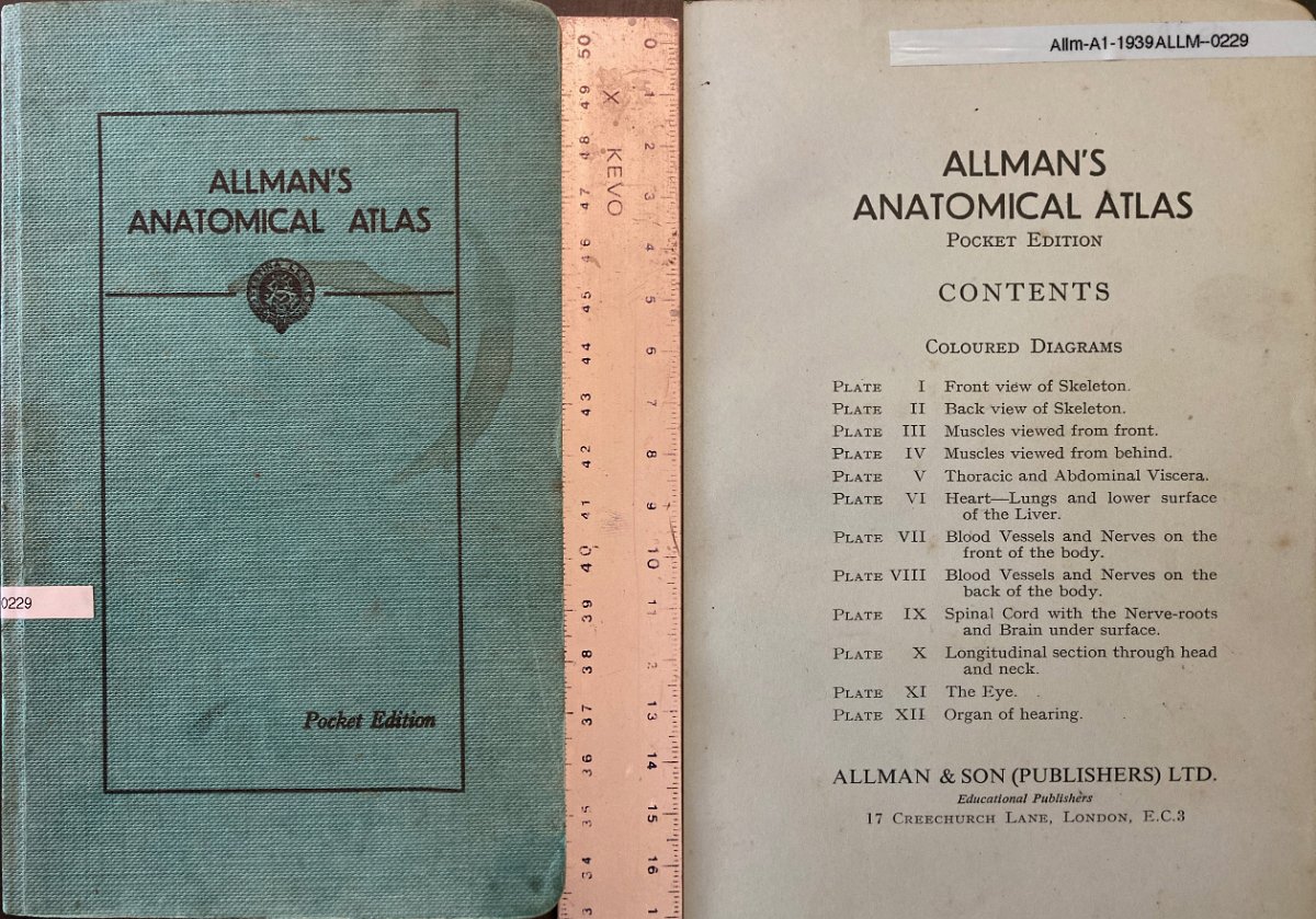 Allm-A01-1939-ALLM-0229