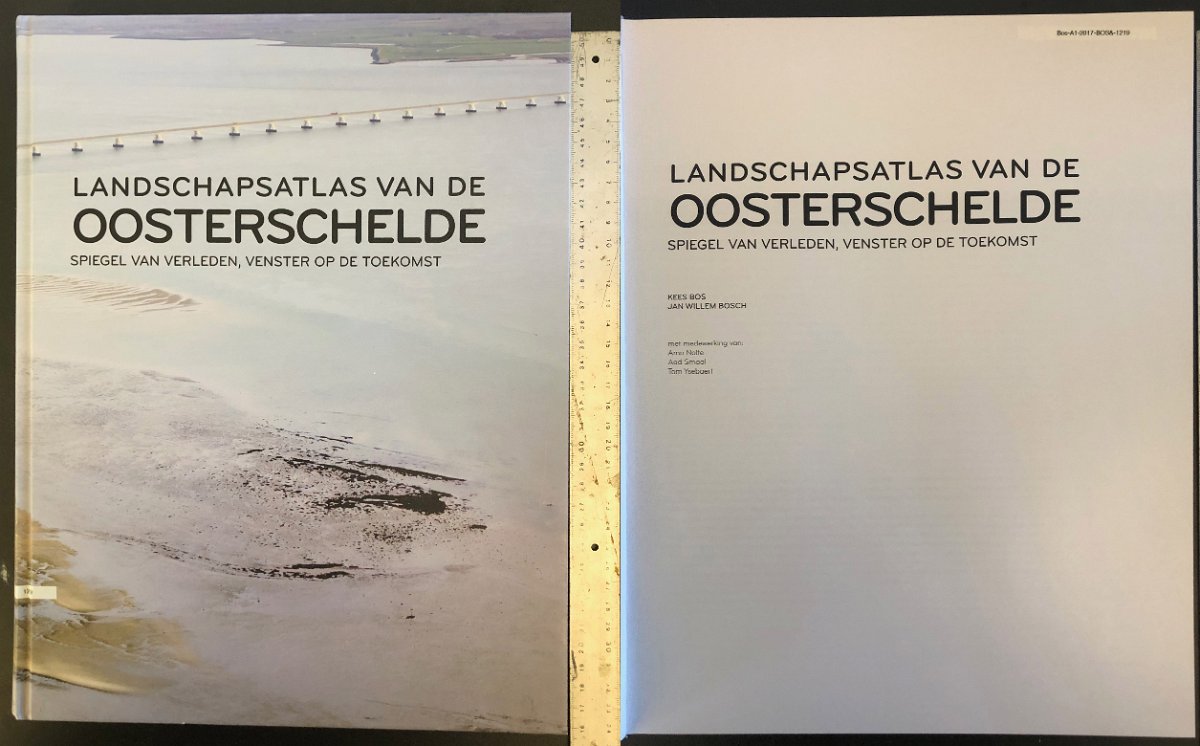 Bos-A01-2017-BOS&-1219
