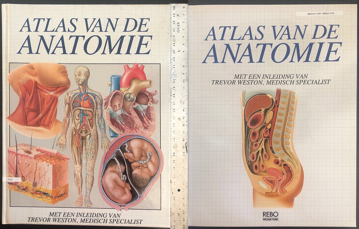 West-A01-1987-REBO-1179